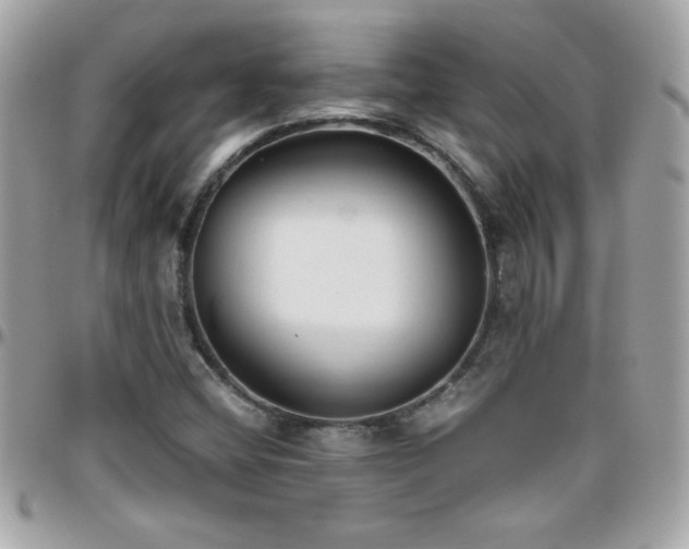 X0000096461404200801241356