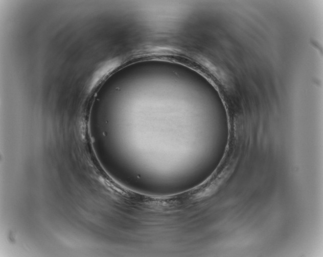 X0000096461405200801241356