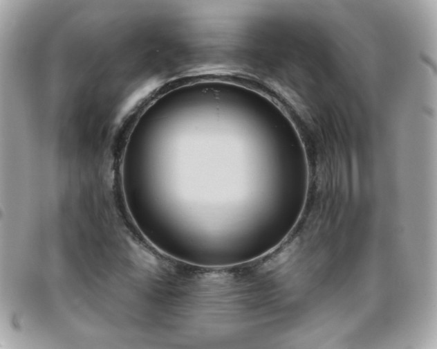 X0000096461406200801241356