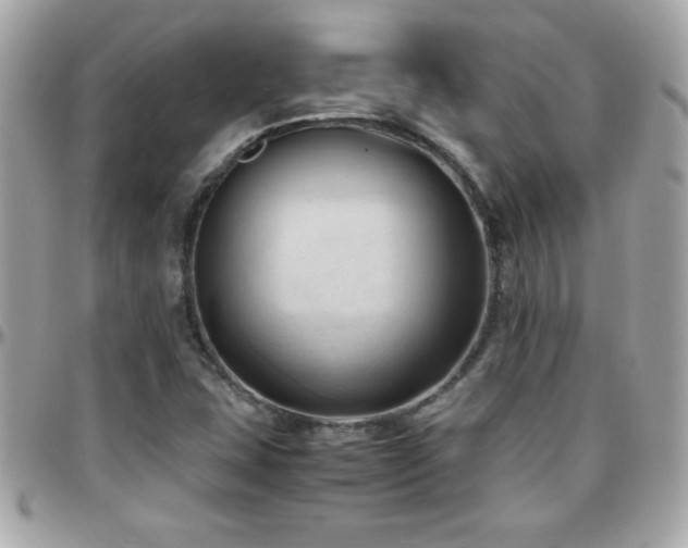 X0000096461407200801241356
