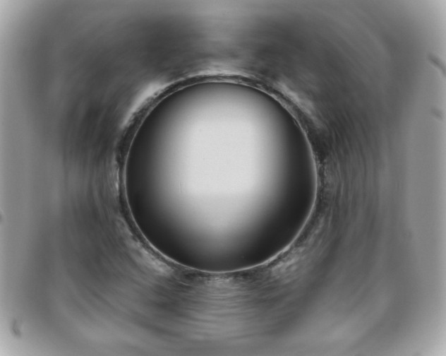 X0000096461408200801241356
