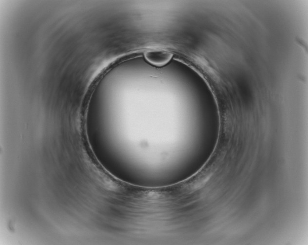 X0000096461412200801241357