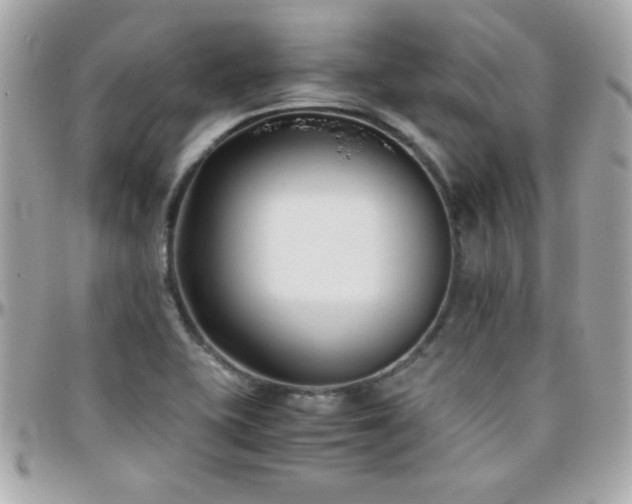 X0000096461415200801241357