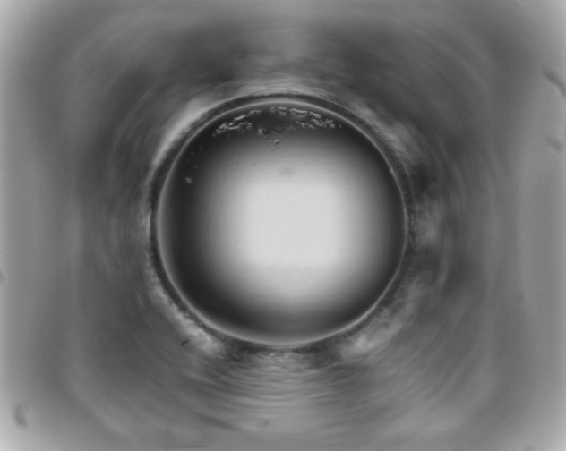 X0000096461416200801241357