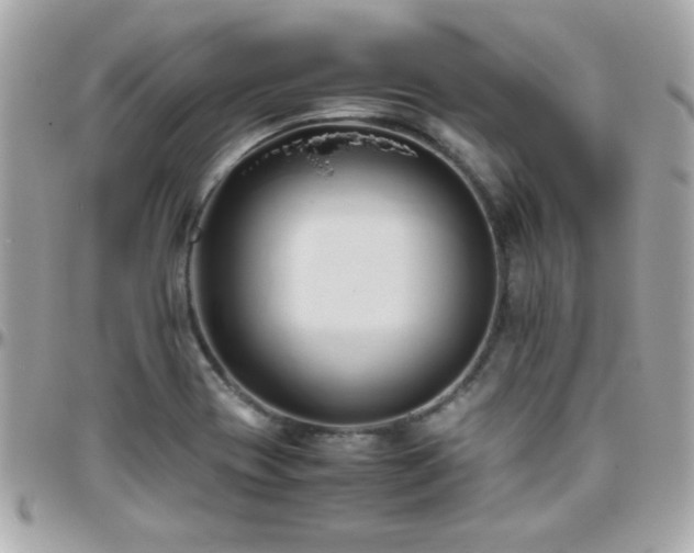 X0000096461417200801241357