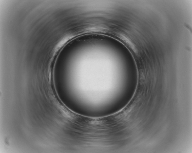 X0000096461419200801241357