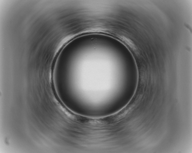 X0000096461420200801241357