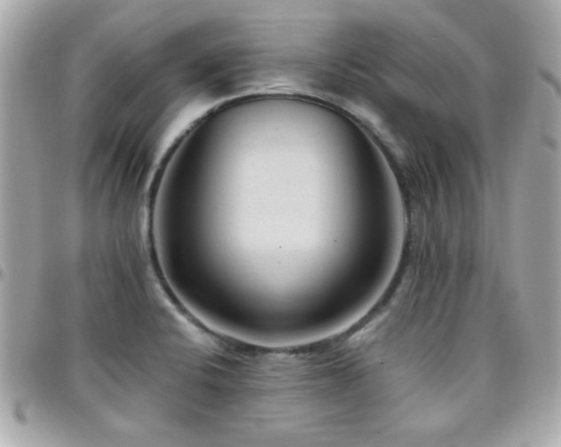 X0000096461424200801241357