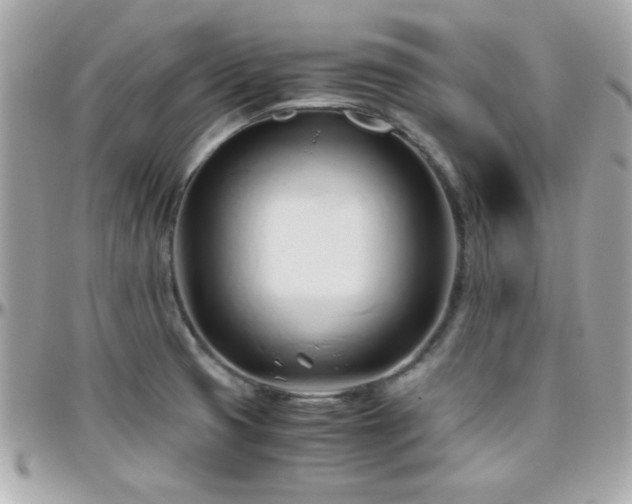 X0000096461425200801241357