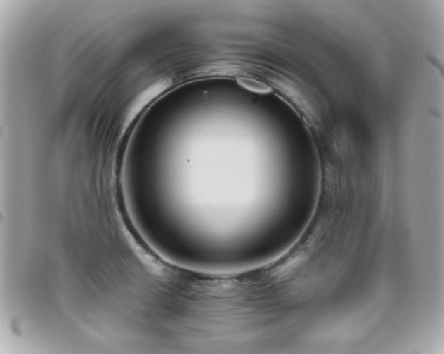 X0000096461426200801241357