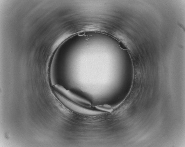 X0000096461427200801241357