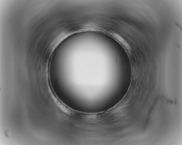 X0000096461431200801241357