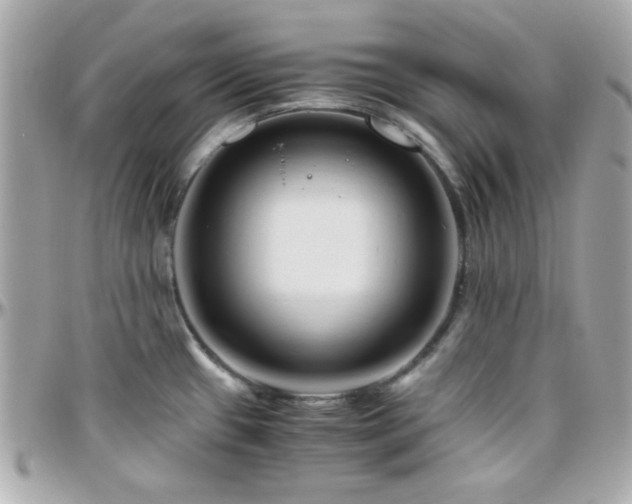 X0000096461433200801241357