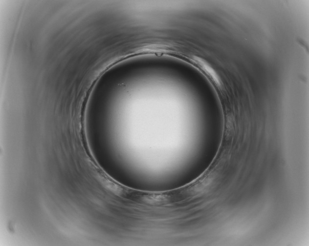X0000096461435200801241357