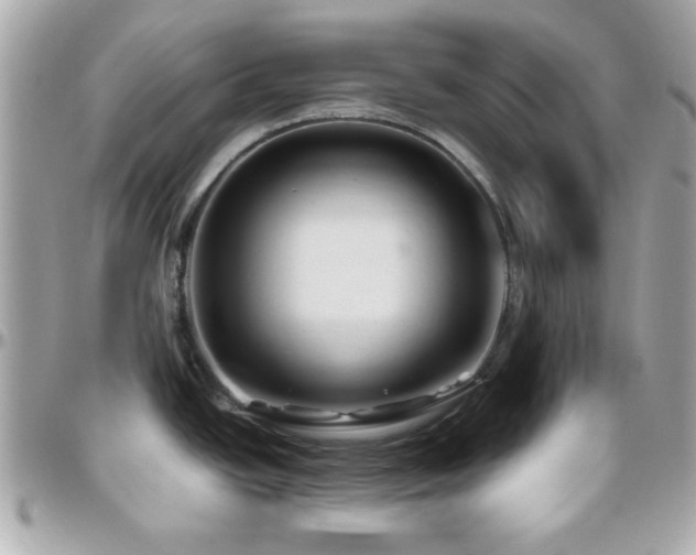 X0000096461438200801241357