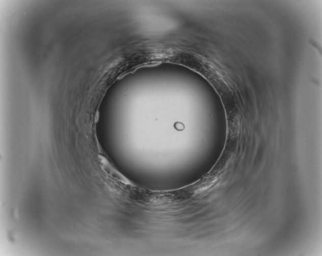 X0000096461441200801241356