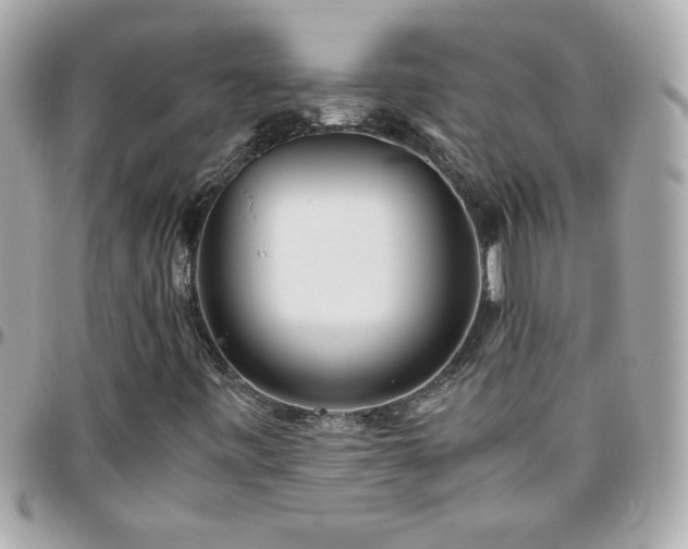 X0000096461443200801241356