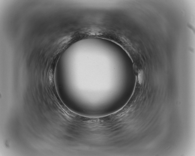 X0000096461444200801241356