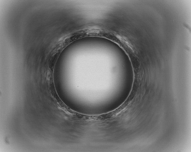 X0000096461445200801241356
