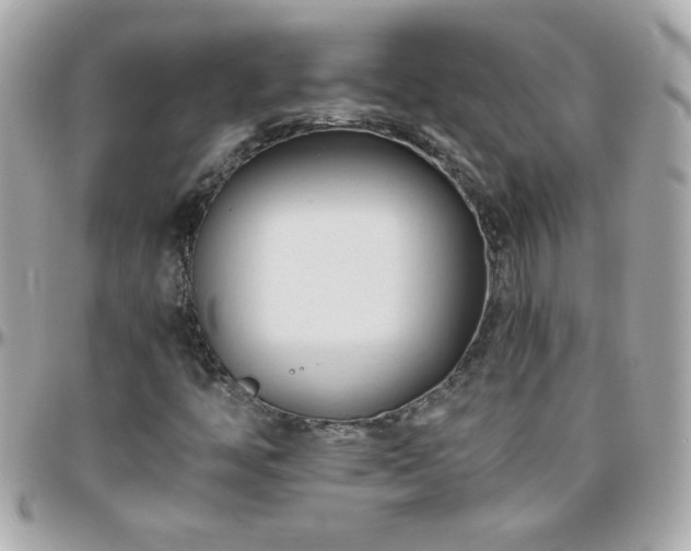 X0000096461446200801241356