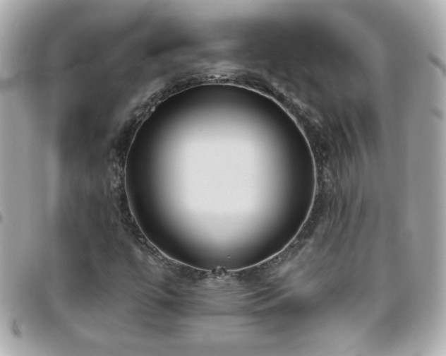 X0000096461447200801241356