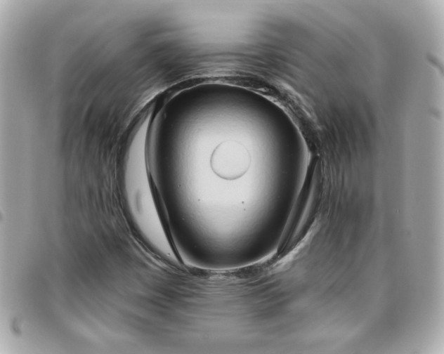 X0000096461449200801241356