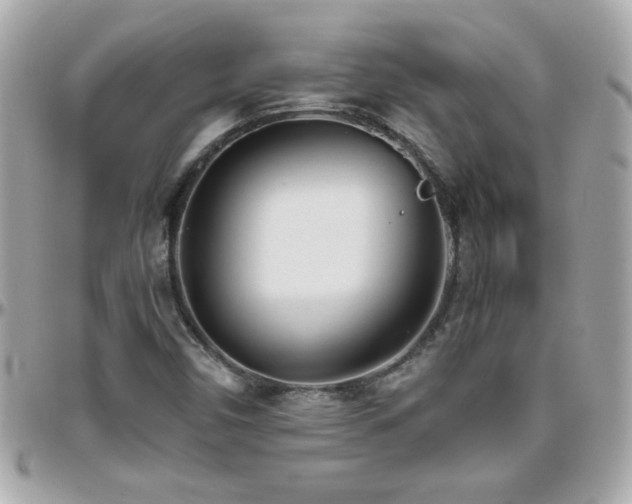X0000096461450200801241356