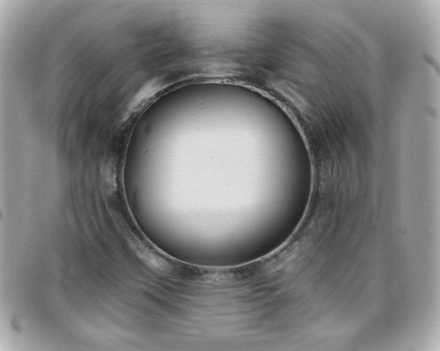 X0000096461451200801241356