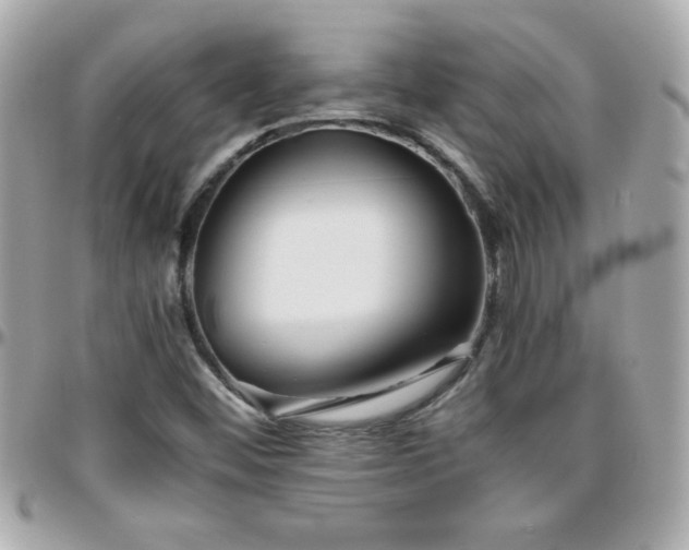 X0000096461452200801241356