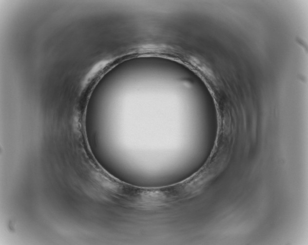 X0000096461454200801241356