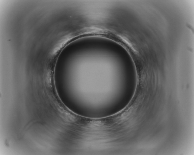 X0000096461455200801241356