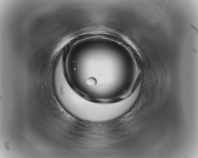 X0000096461456200801241356