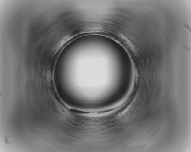 X0000096461457200801241356