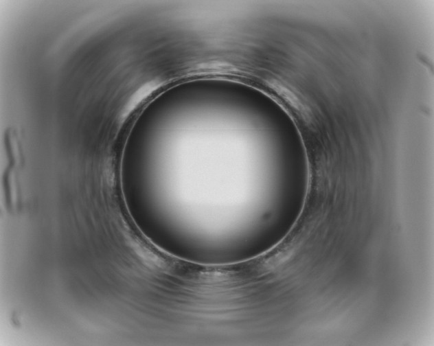 X0000096461458200801241356