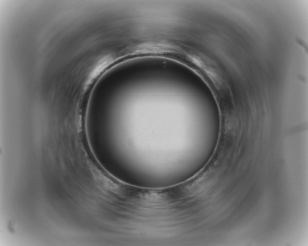 X0000096461459200801241356