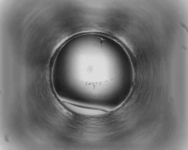X0000096461460200801241356