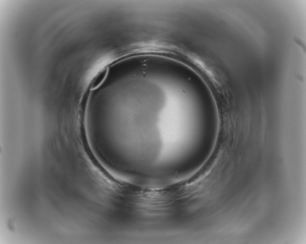 X0000096461463200801241356