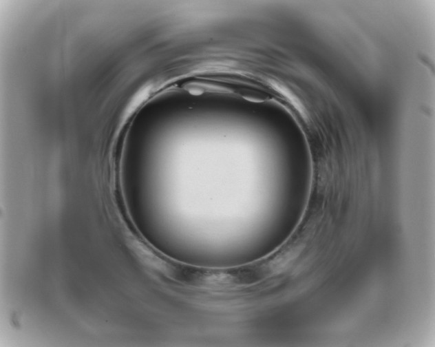 X0000096461467200801241356