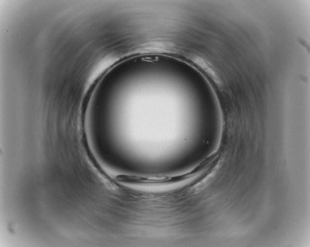 X0000096461469200801241356
