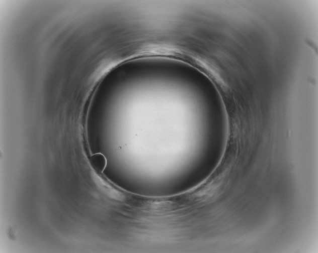 X0000096461471200801241356