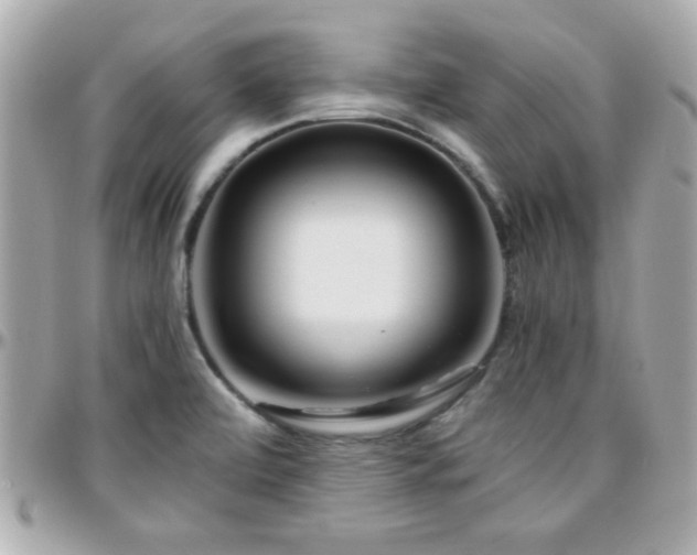 X0000096461472200801241356
