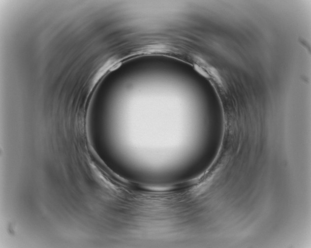 X0000096461473200801241356