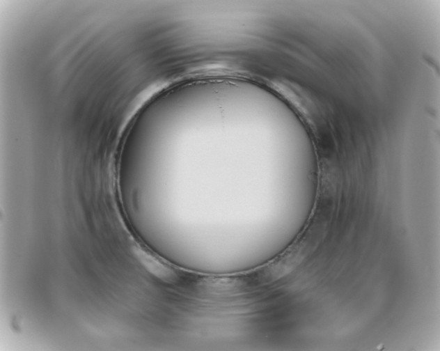 X0000096461474200801241356