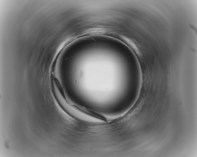 X0000096461475200801241356