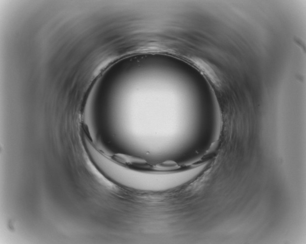 X0000096461476200801241356