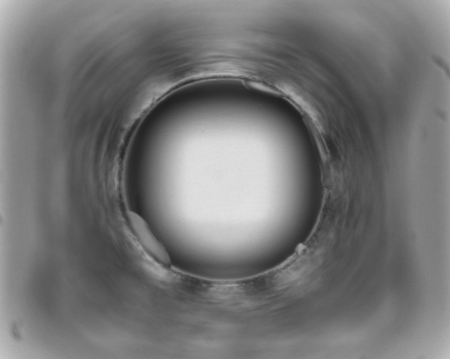 X0000096461477200801241356