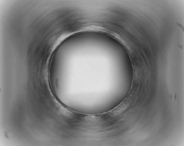 X0000096461478200801241356