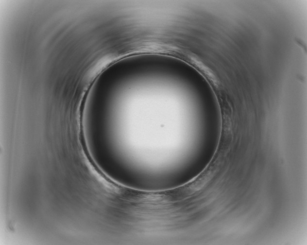 X0000096461479200801241356