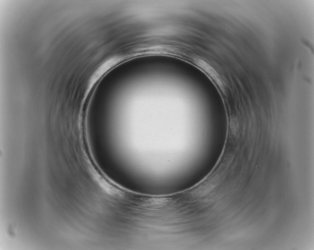 X0000096461482200801241356