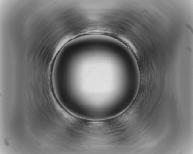 X0000096461483200801241356